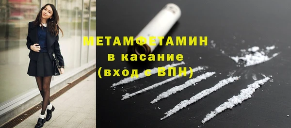 прущие грибы Верея