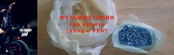 прущие грибы Верея