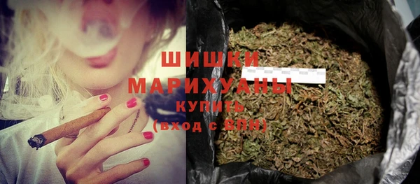 прущие грибы Верея