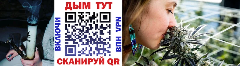 где продают Пикалёво Шишки марихуана план